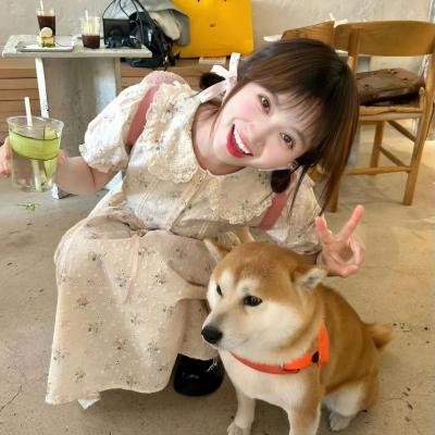 四个女人的故事